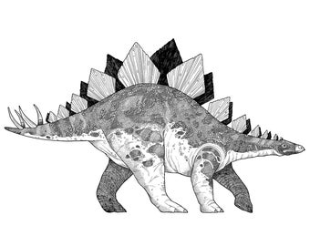 Stegosaurus || Dinosaur || A3 - A4 print