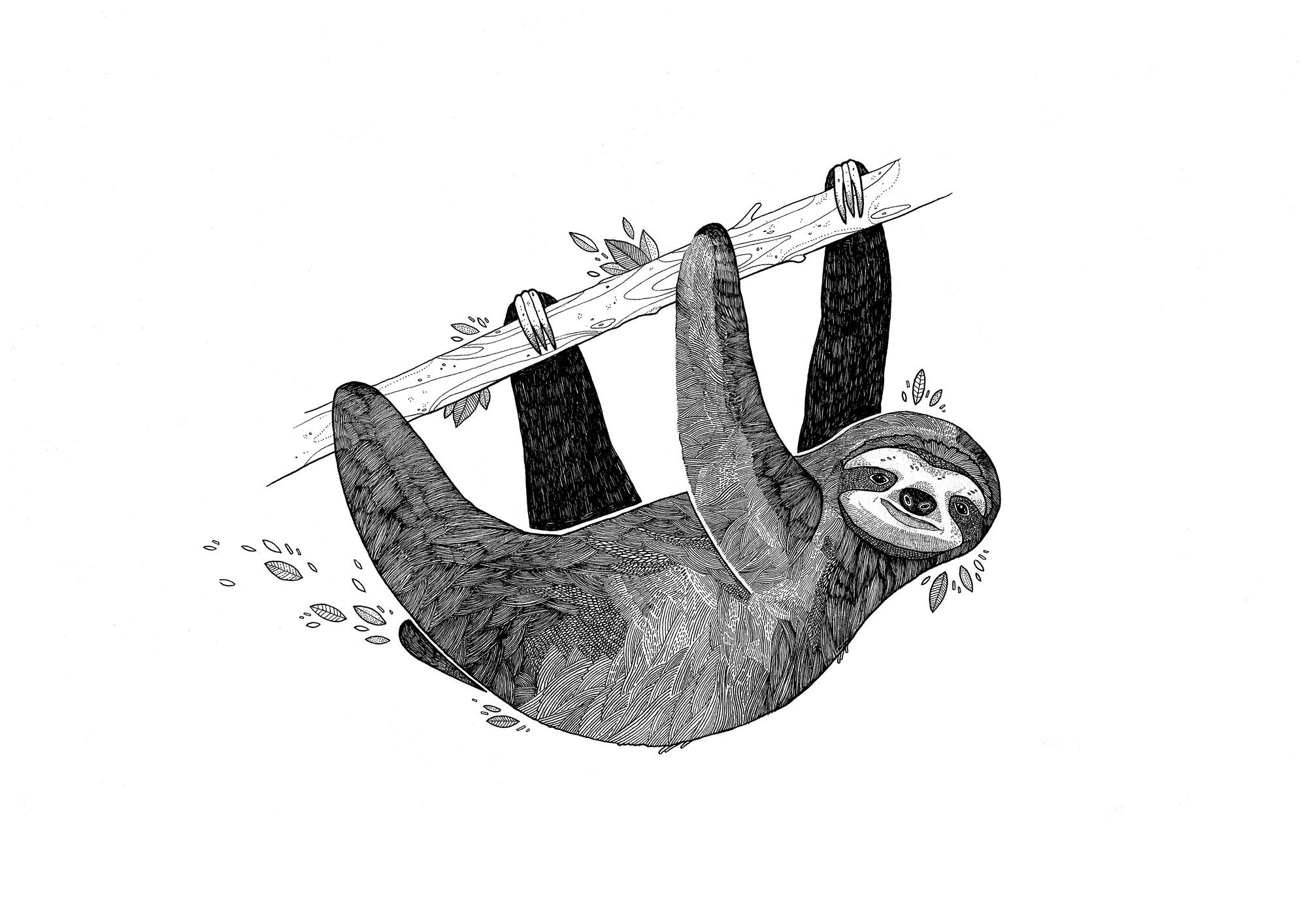 Don't worry, don't hurry 🦥 #sloth #sloths #slothtattoo #slothart  #customtattoo #tattooart #blackwork #blackworkartists #tattoo #inkwork…
