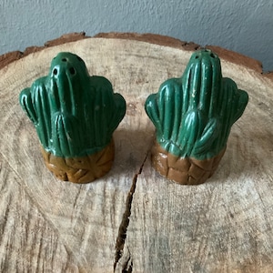 Vintage Mexican Cactus  ceramic salt and pepper shakers
