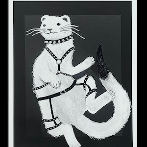 Baddy Weasel