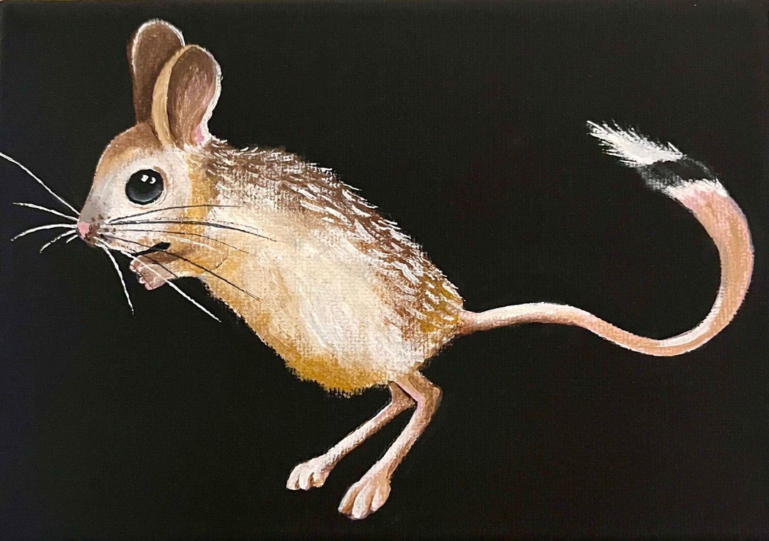 Jerboa jumping Mice Etsy
