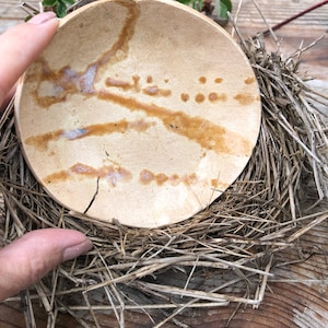 Neutral plate/dish