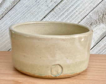 Handmade ceramic pottery Succulent planter pot, ice cream bowl,  small handmade bowl, hand carved pottery, small bowl, pet dish