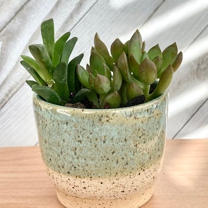 Beautiful  Handmade ceramic/pottery pot. Succulent pot, Planter pot.  Pen holder, Desk storage, pottery tumbler. Pots for plants