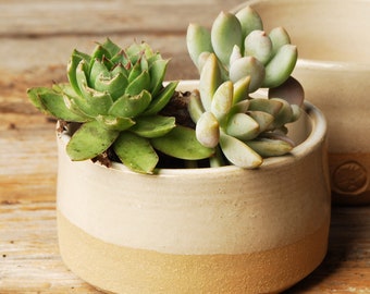 Beautiful Handmade Pottery Succulent Planter/Pot, Pet dish, dog bowl, cat bowl