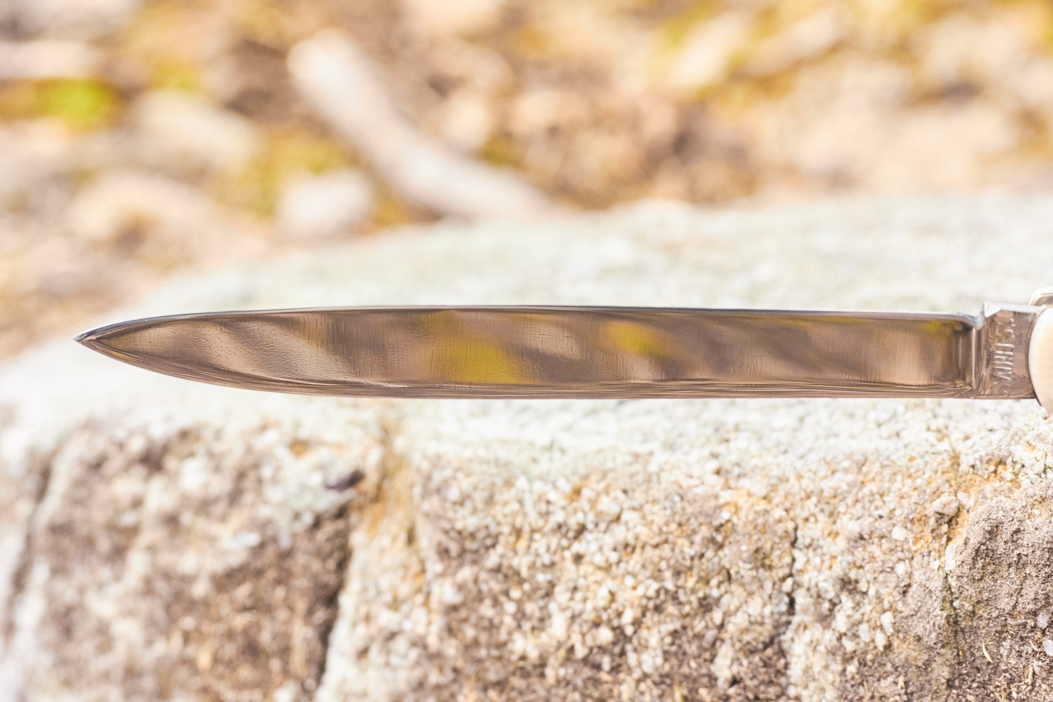 Vintage Fruit Testers pocket knife