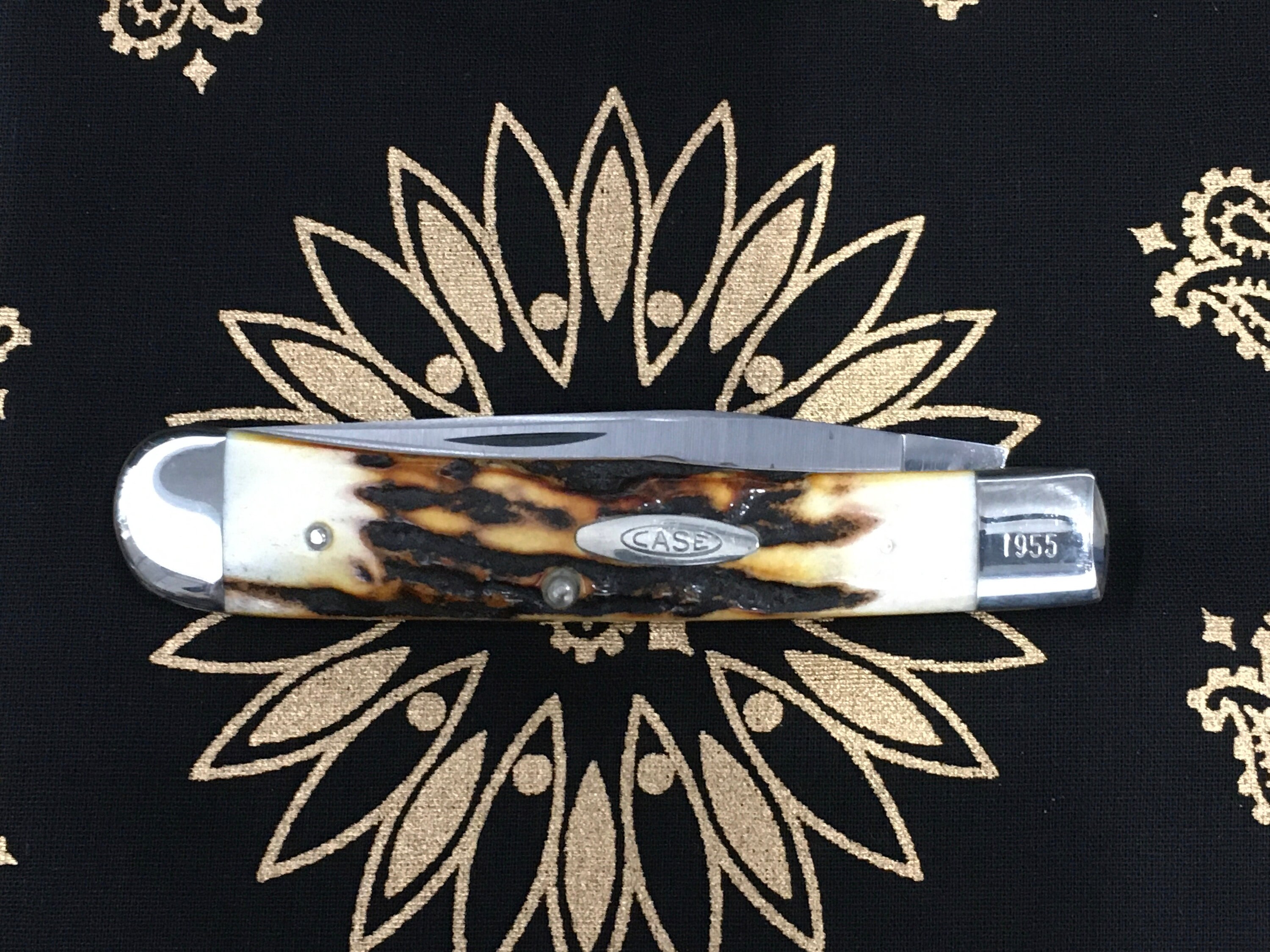 Case XX pocket Knife 1979 National Knife Collectors Association 1955