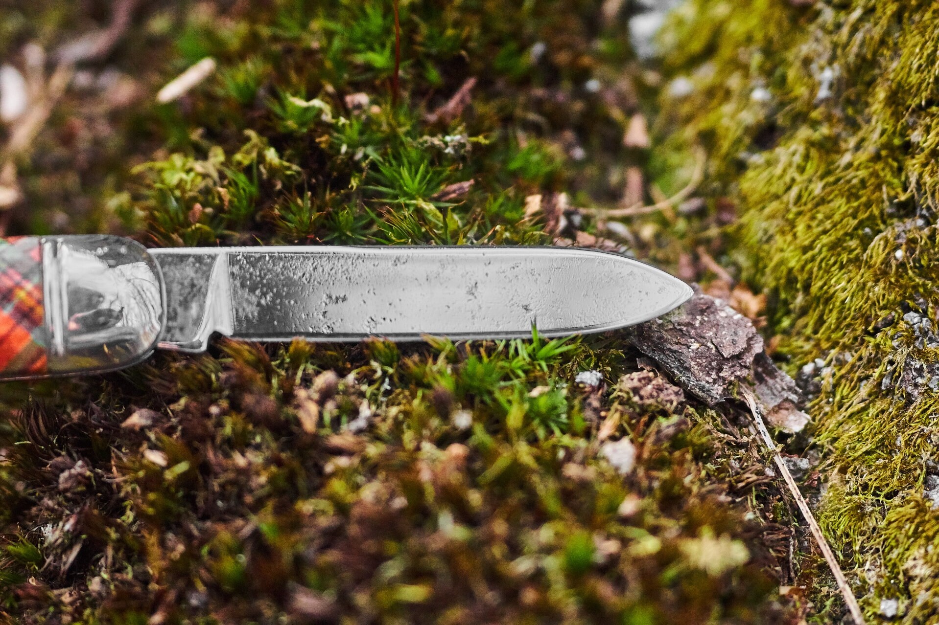 Vintage Richards pocket knife Shefield England