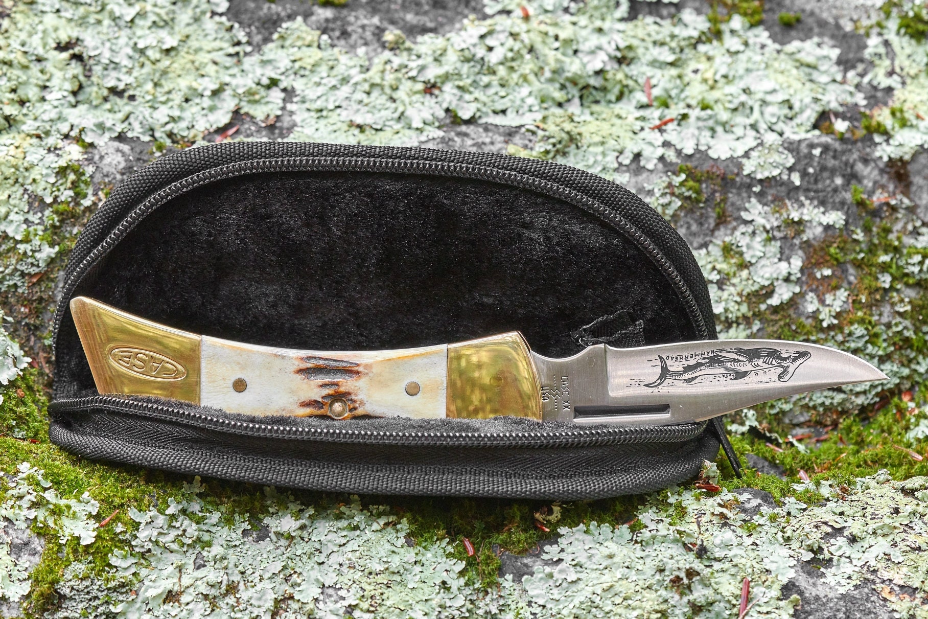 Case Hammerhead Lockback Knife 9 Dot 1981 Stag Handle