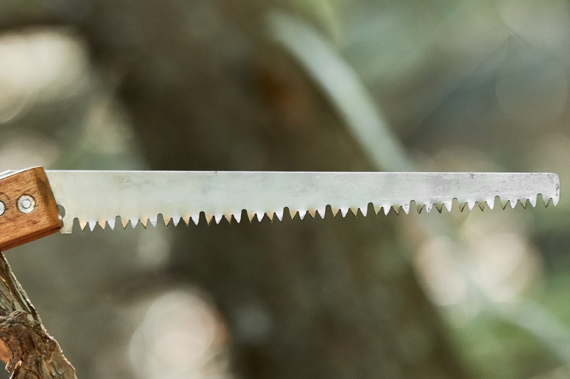 Vintage Folding hand saw