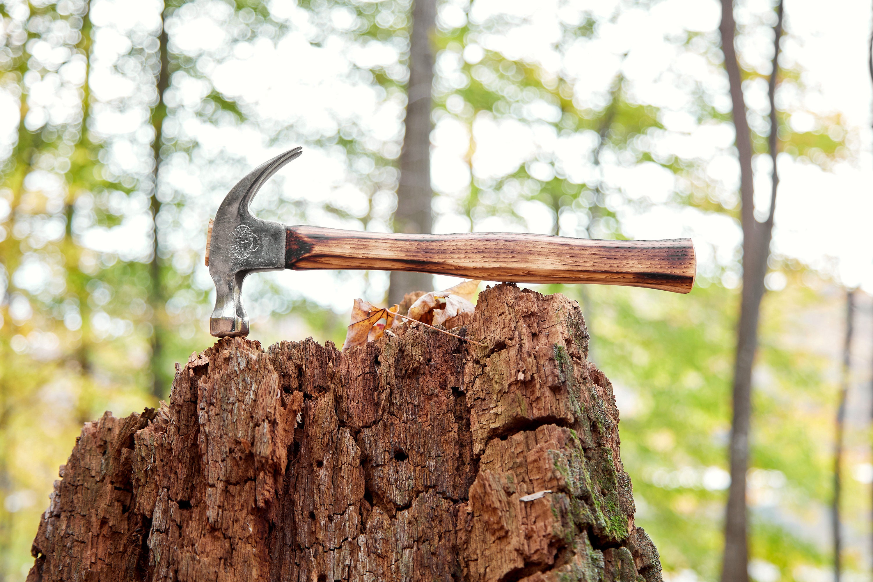 Belknap Bluegrass Claw Hammer