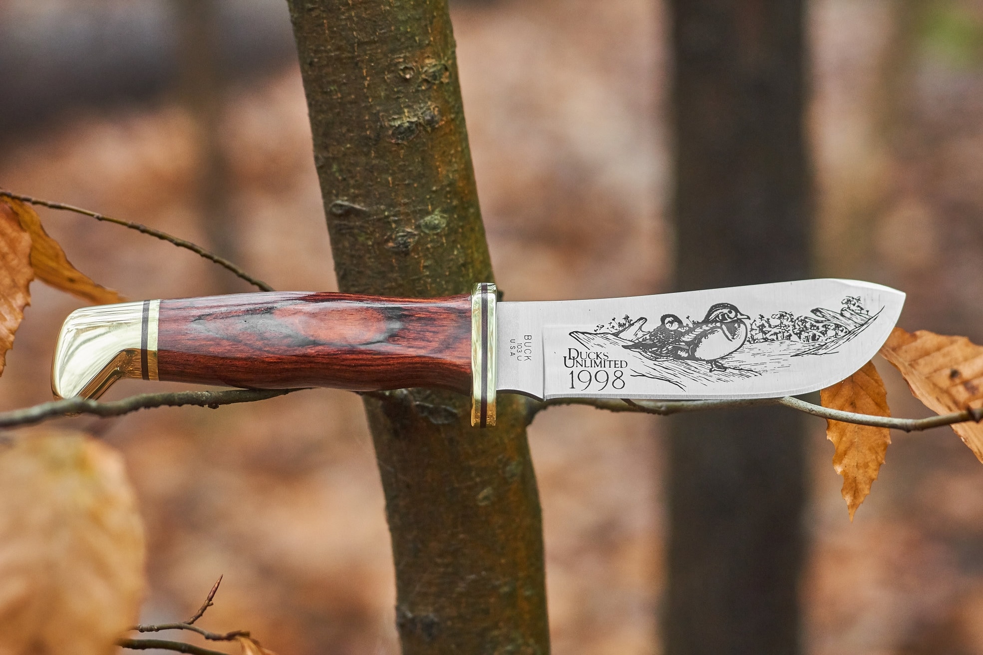 Buck 103 fixed blade knife Ducks Unlimited 1998