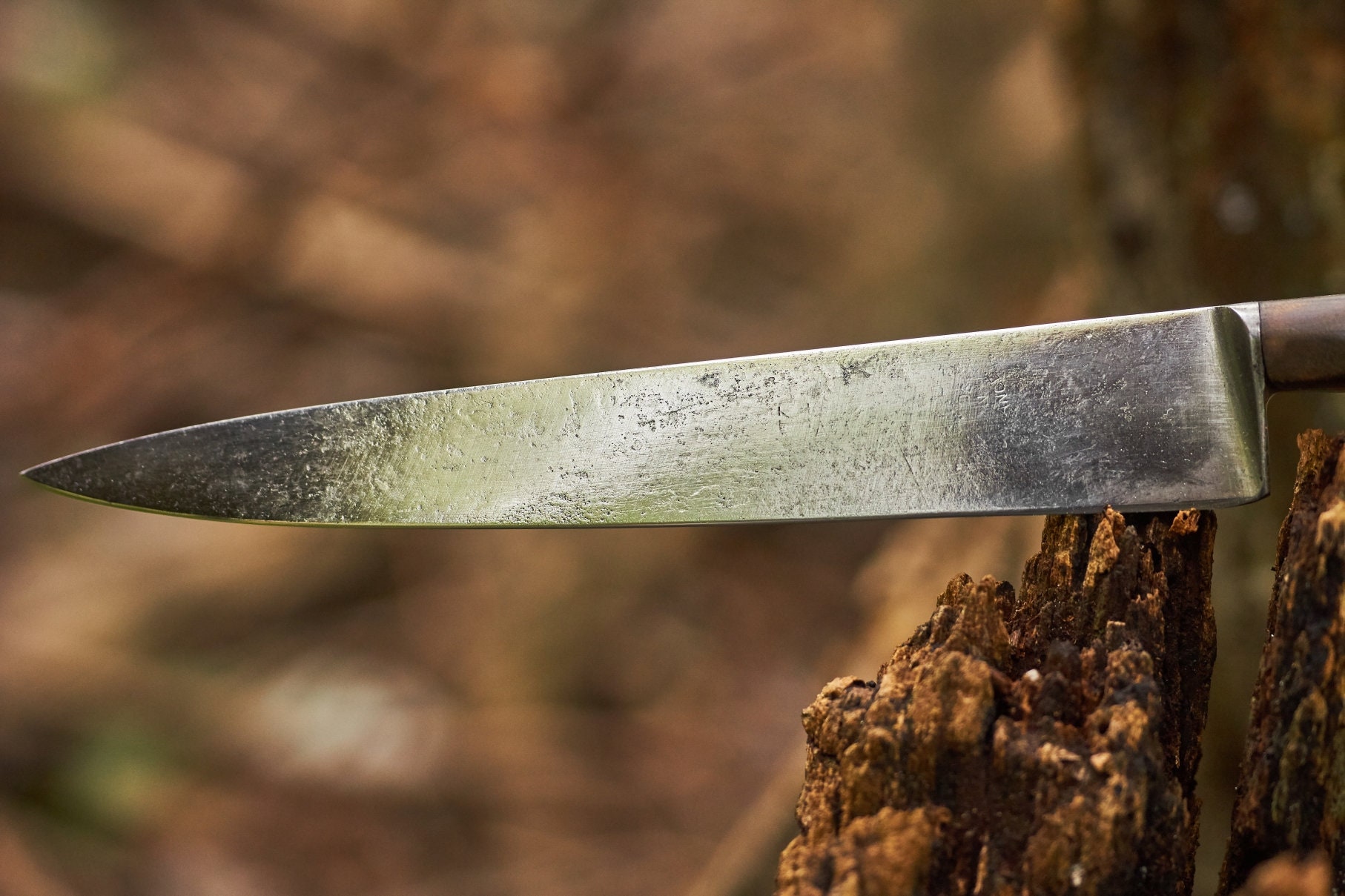 sabatier judge knives