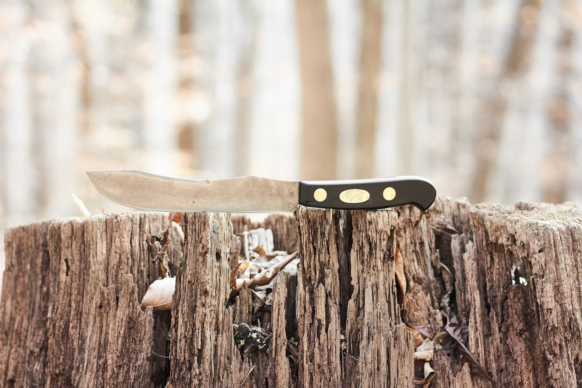 Vintage Robeson butcher knife Pig knife