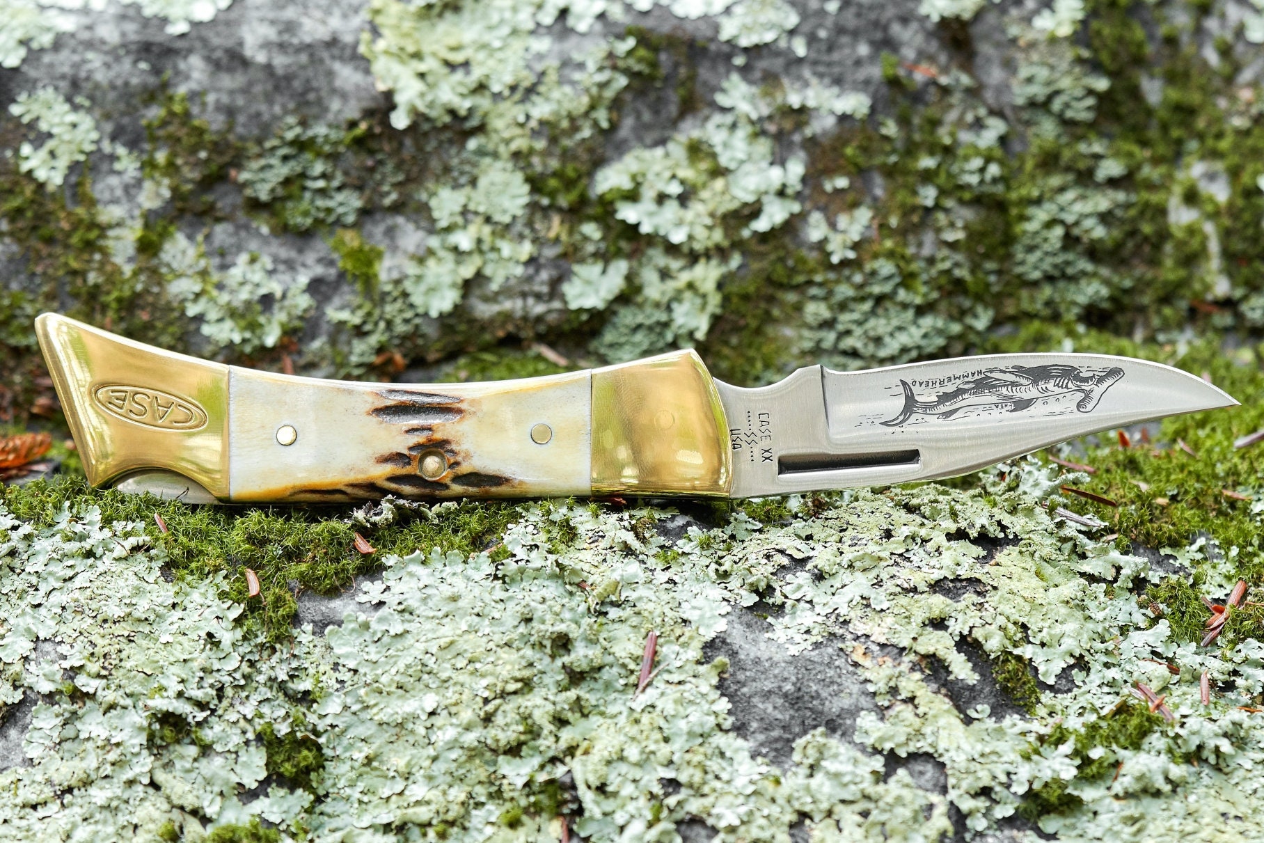 Case Hammerhead Lockback Knife 9 Dot 1981 Stag Handle