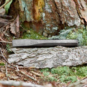 May include: A close-up of a dark gray metal bar resting on a piece of bark in a forest setting. The bar is smooth and has a slightly rounded edge. The bark is rough and textured, and there is moss growing on the ground around it.