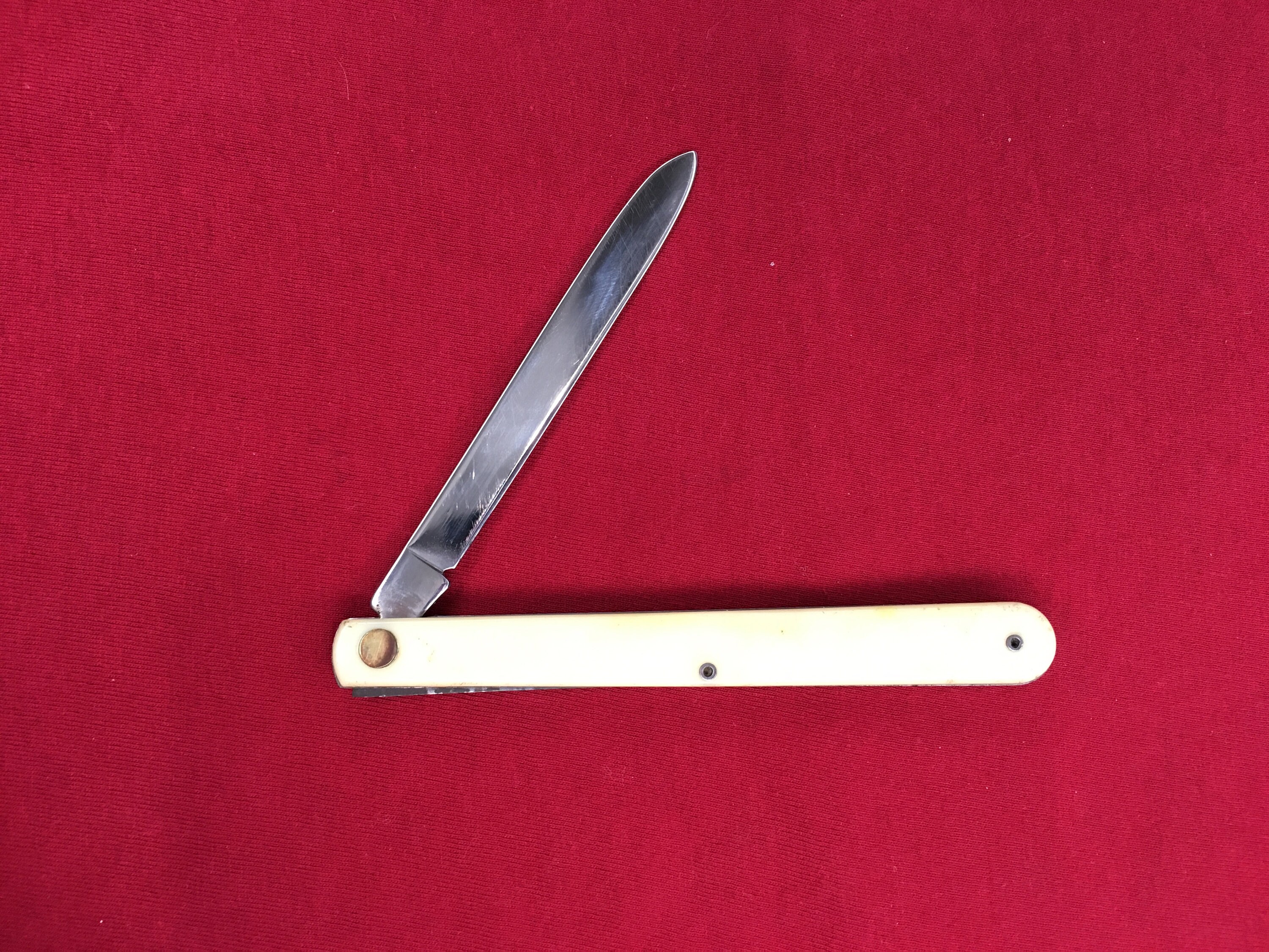 Fruit Testers Pocket Knife
