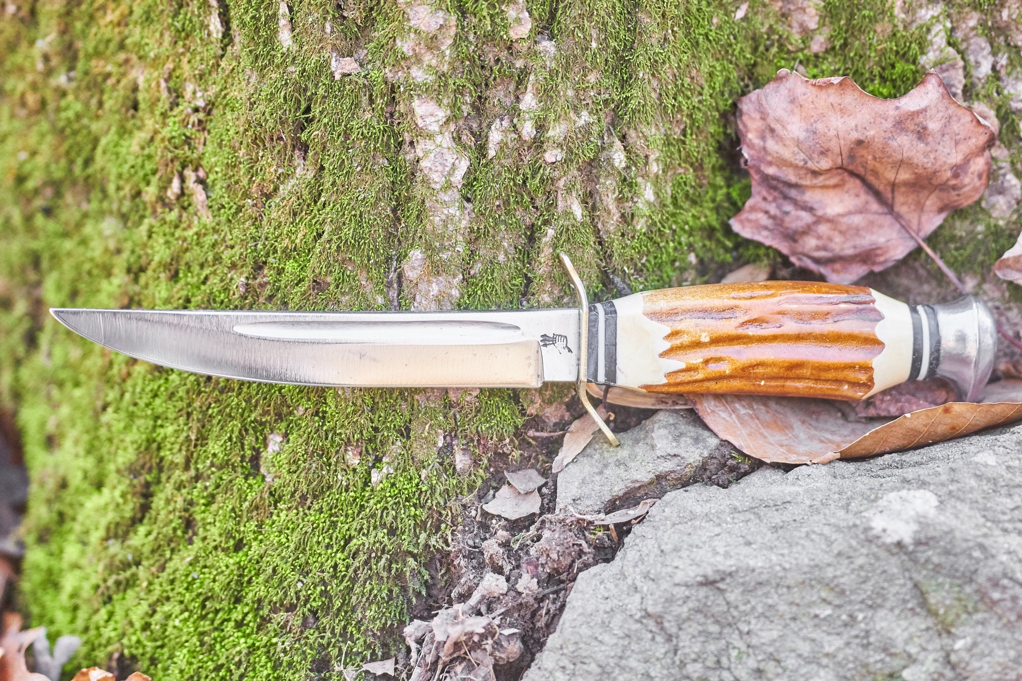 Vintage Fixed blade knife Emil Voos Solingen Germany