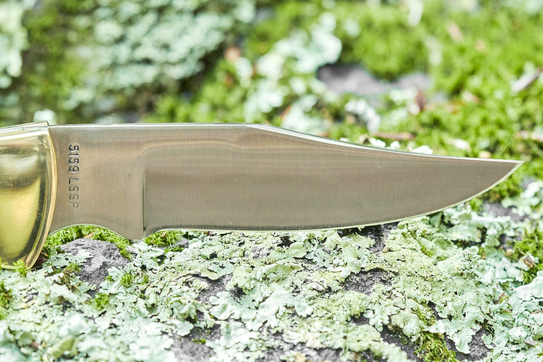 Case Hammerhead Lockback Knife 9 Dot 1981 Stag Handle