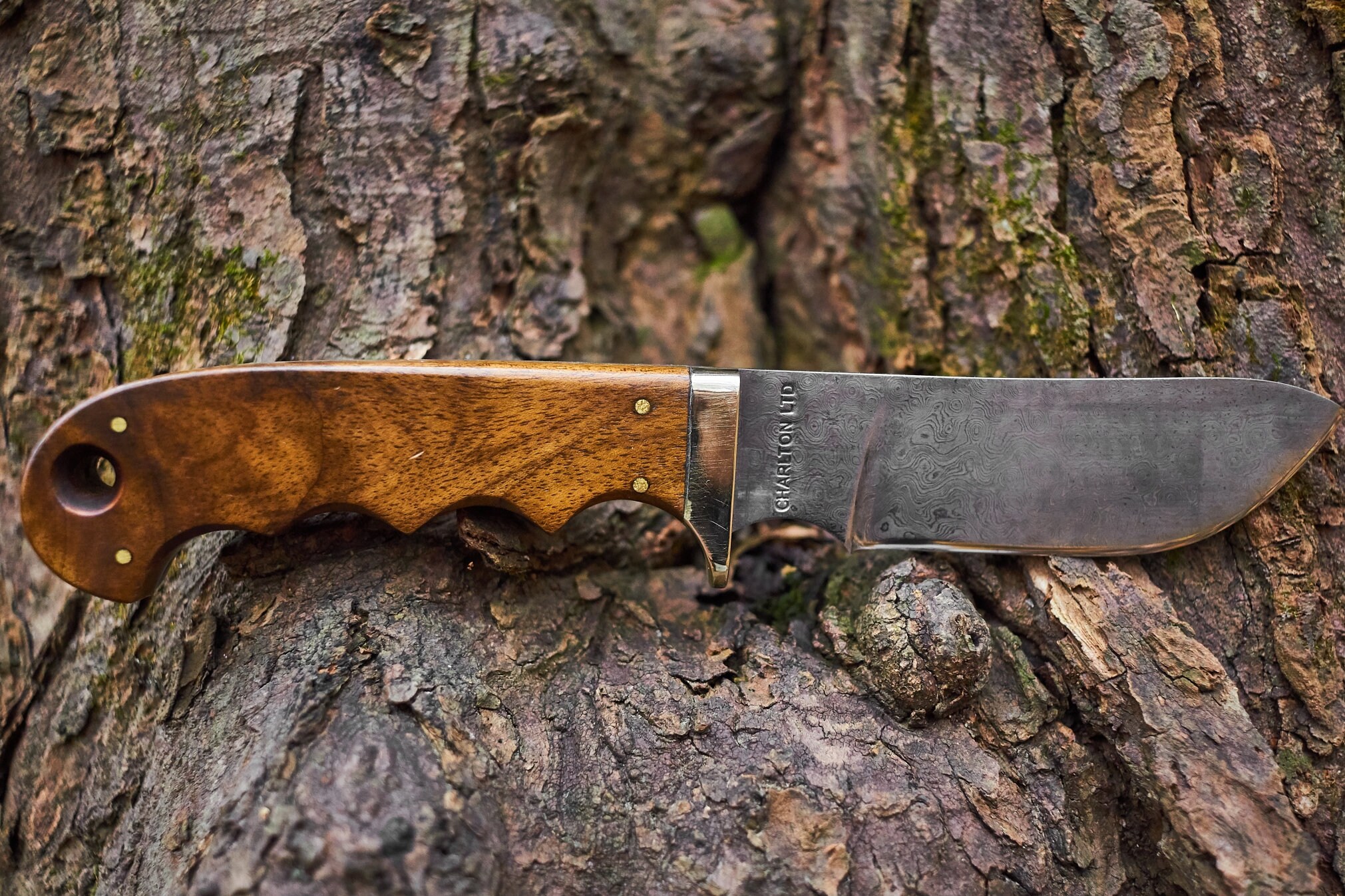 Damascus Steel Fixed blade knife Charlton LTD