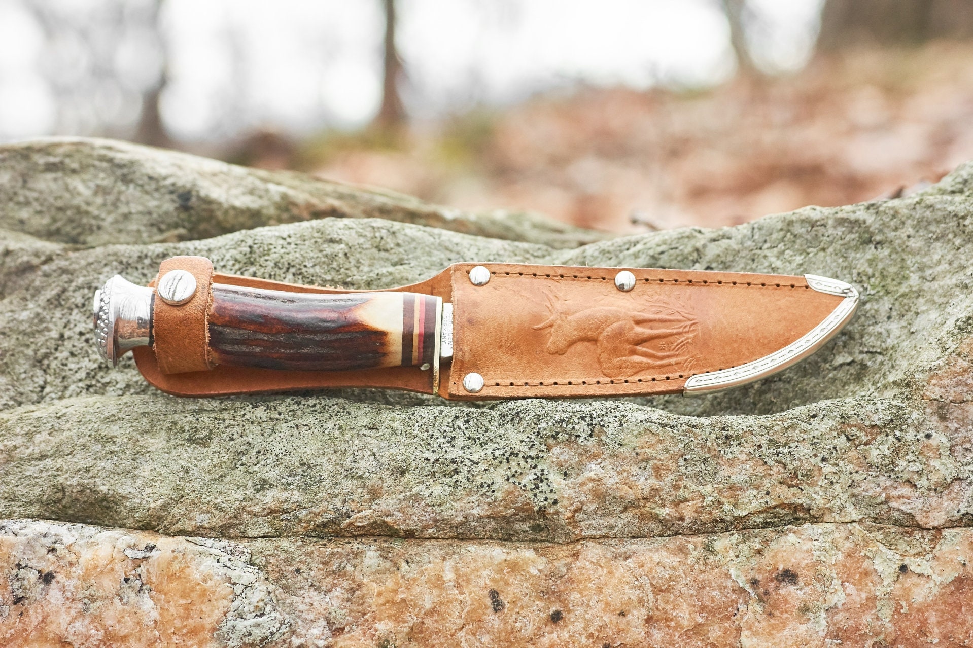 ウェルトナイフ　Solingen ドイツ　靴工具　アンティーク Solingen Germany Knife Stag Handle Blade & Sheath (Edge