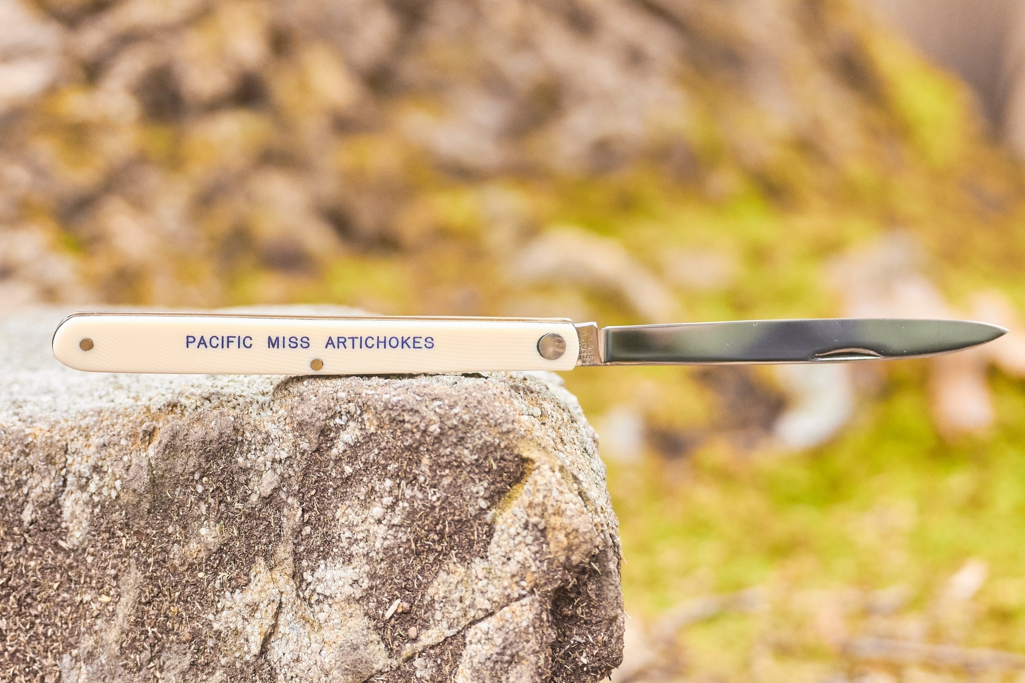 Vintage Fruit Testers pocket knife