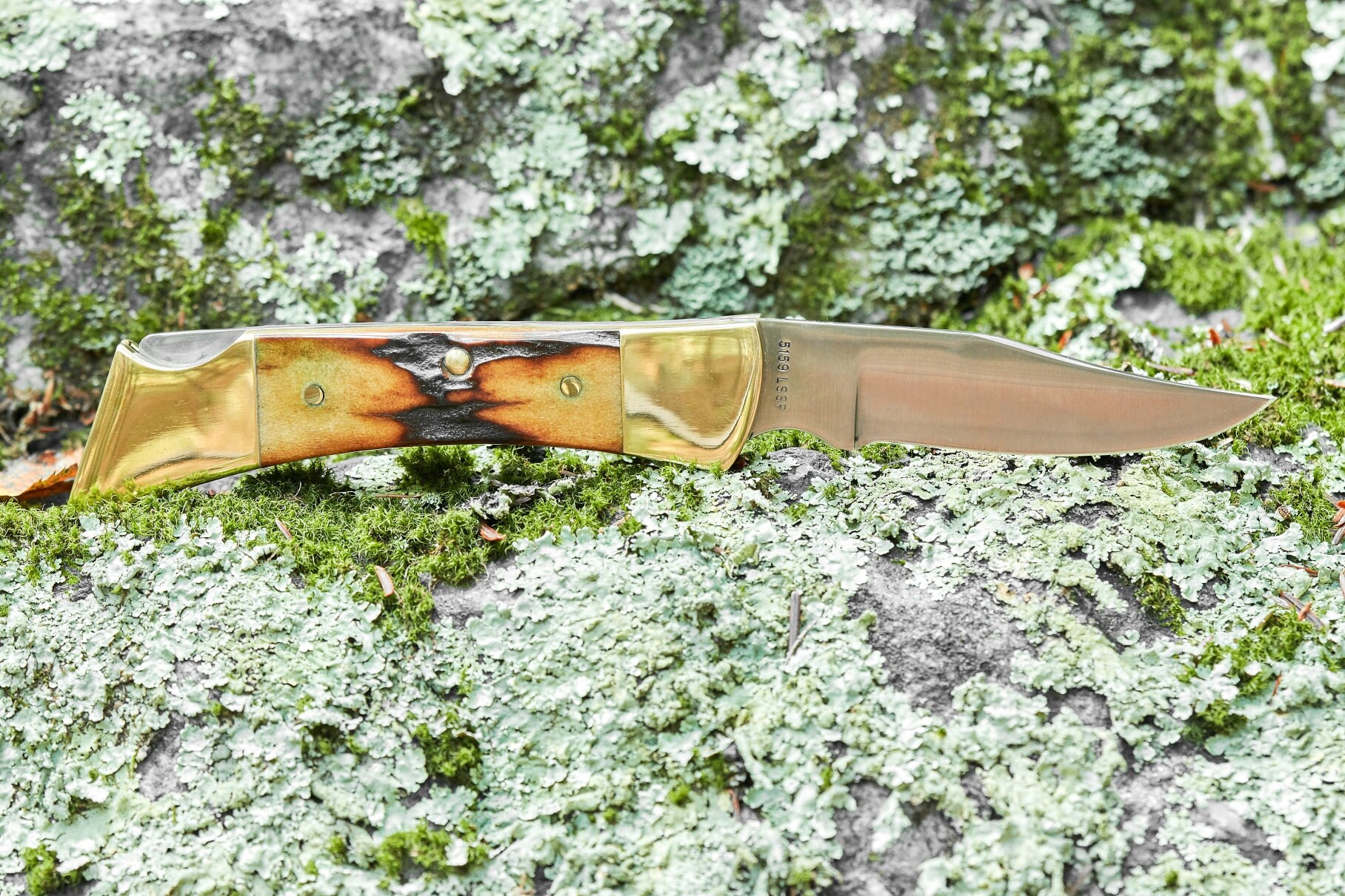 Case Hammerhead Lockback Knife 9 Dot 1981 Stag Handle