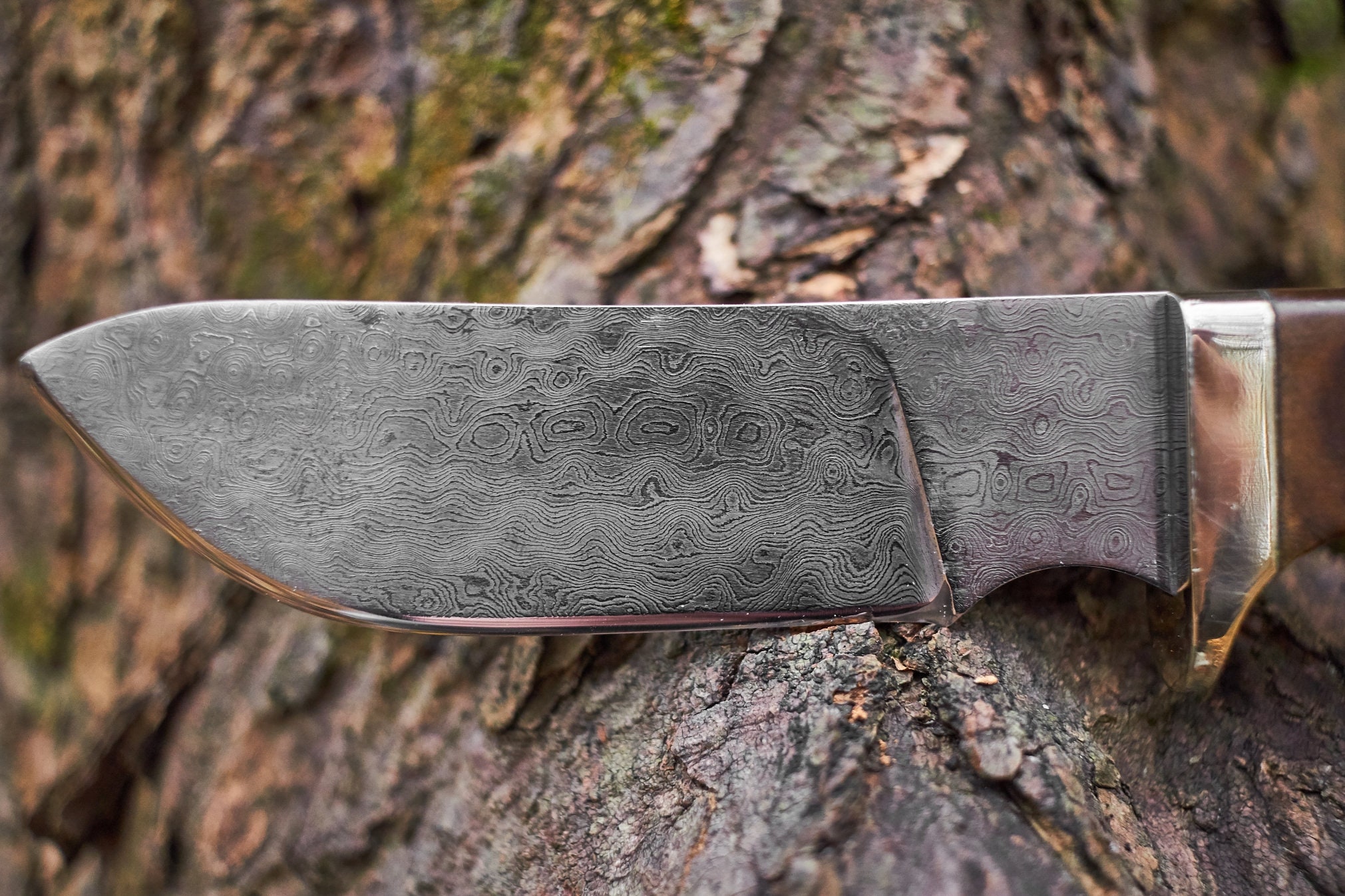 Damascus Steel Fixed blade knife Charlton LTD