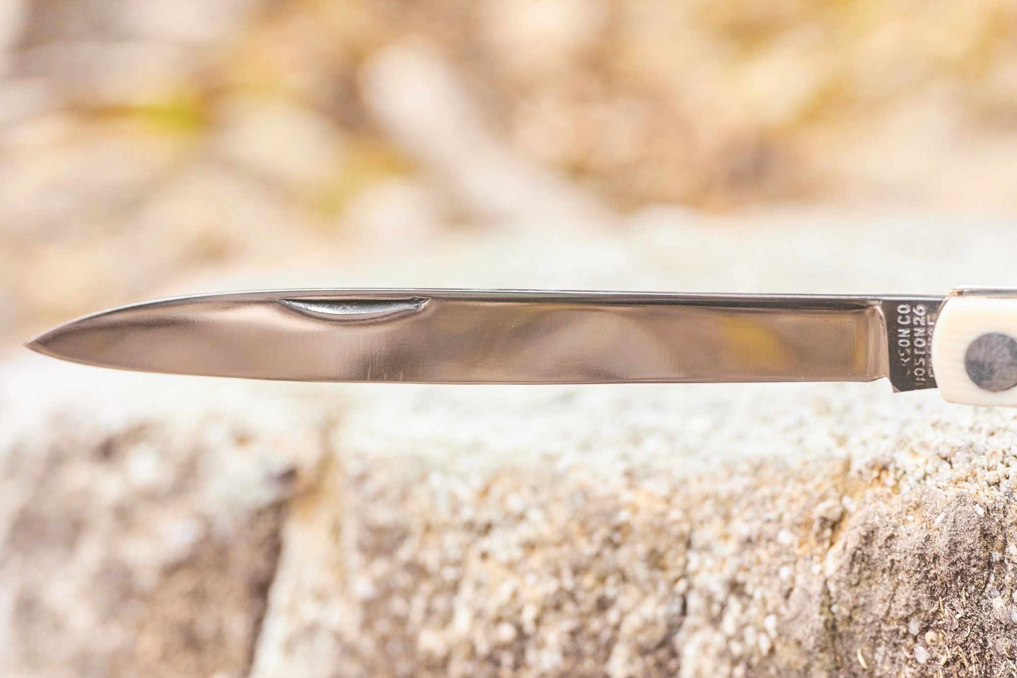 Vintage Fruit Testers pocket knife