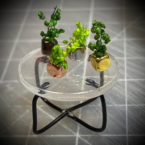 Puede incluir: Una pequeña mesa de vidrio transparente con una base de metal negro. Cuatro plantas en macetas con hojas verdes están dispuestas sobre la mesa. Las macetas son de plata, oro y cobre.