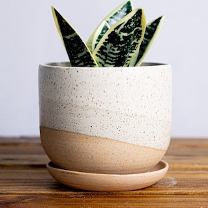 Round Bottom Planter and Saucer - Handmade Ceramic planter- size options