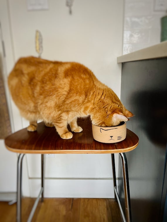 Mod Cat food bowl