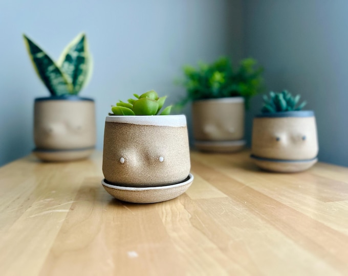 Handmade Boob Planters – Fun Ceramic Pots – Indoor Plant Planter – Unique & Functional Gif
