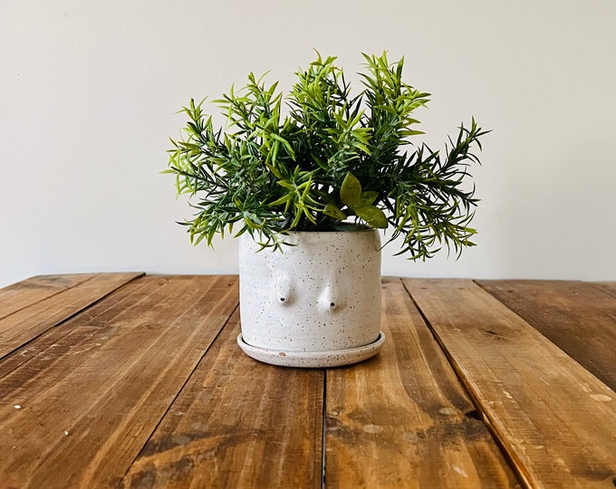 It’s Boobs - Cylinder Planter with Saucer - White - Handmade Ceramic