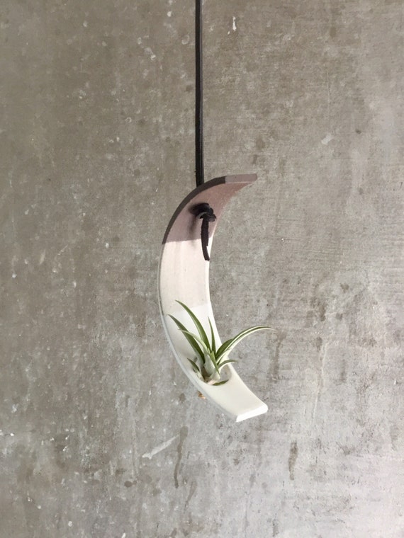 Hanging crescent moon Airplant holder- ceramic- plant vase arc- two tone white on dark stoneware