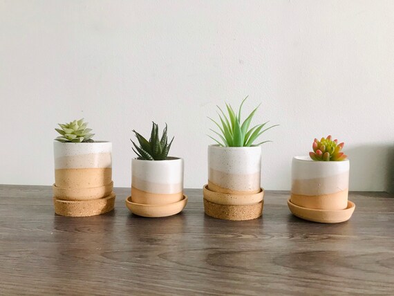3" succulent pot with saucer. hand made ceramics. planters and pots