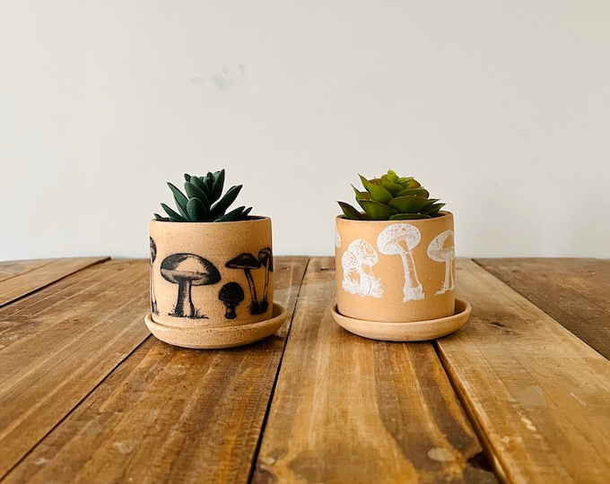 Shroom Pot with Saucer - Cylinder Succulent Pot - Handmade Ceramic - Color Options