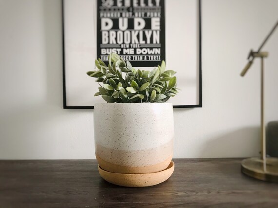 6" planter with saucer. hand made ceramics. planters and pots
