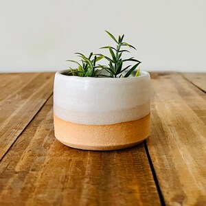Mini Succulent Pots 2-pack Handmade Ceramic image 2
