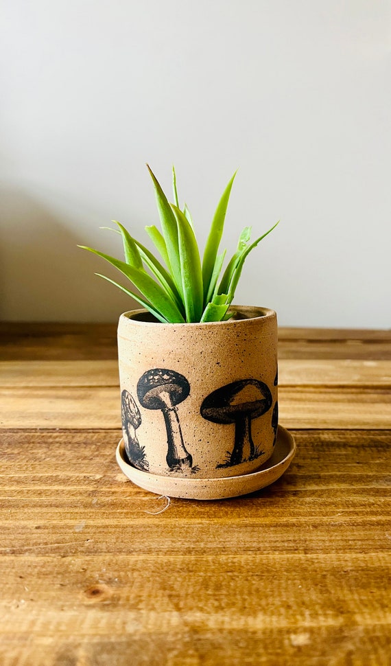 Shroom pot- Cylinder Succulent pot with saucer. 3". Ceramic