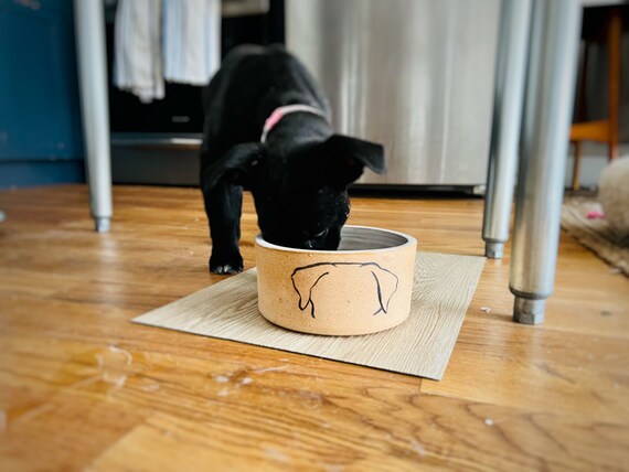 Mod Dog bowl