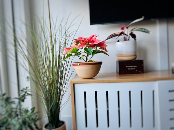 limited edition- sante fe style planter- leather and ceramic-different size options