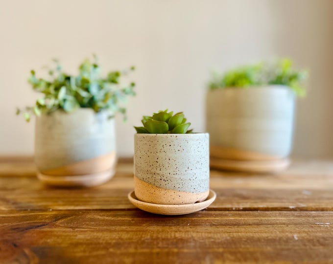 Handmade Ceramic Cylinder Succulent Pot with Saucer – White Planter