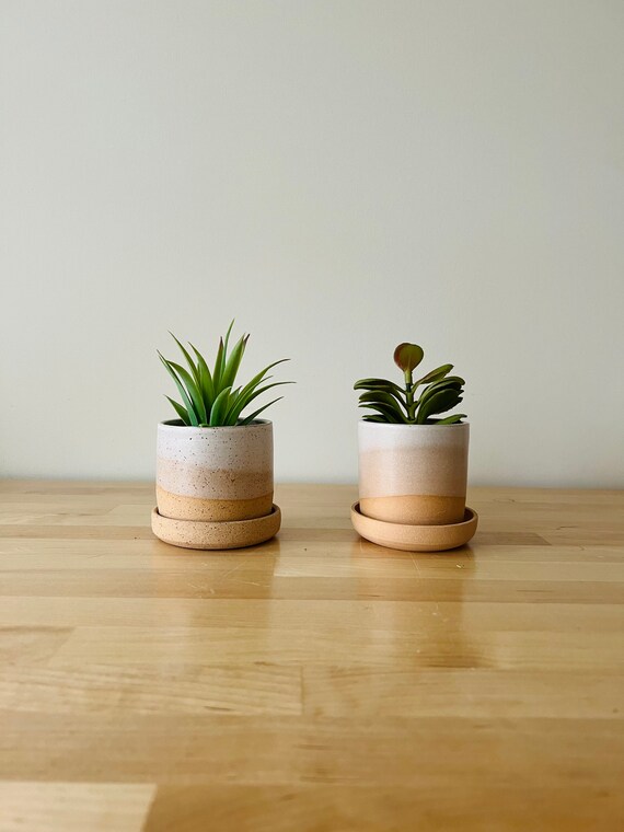 Cylinder Succulent pot with saucer. 3". White. Ceramic