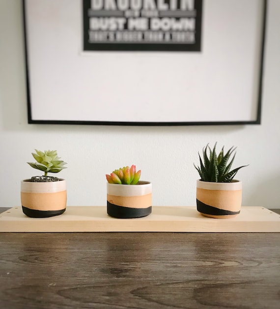 2” succulent holders- handmade ceramics- pack of three
