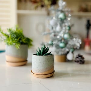 Handmade Ceramic Succulent Pot with Saucer - 3 inch - Speckled or Smooth