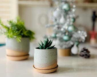 Handmade Ceramic Succulent Pot with Saucer - 3 inch - Speckled or Smooth