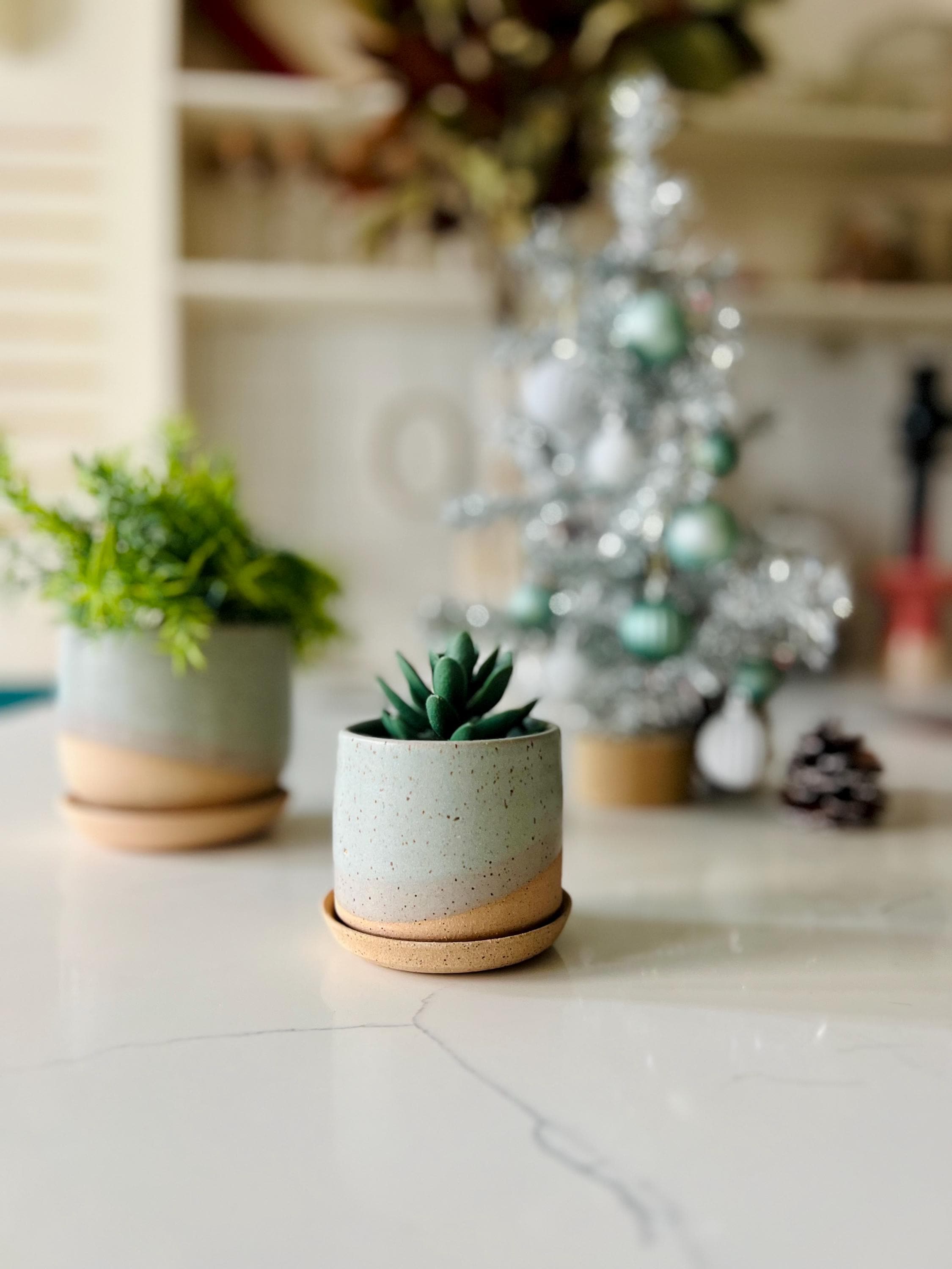 Succulent sand - Etsy.de