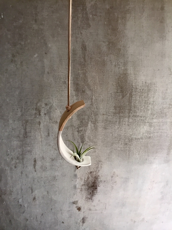 Hanging crescent moon Airplant holder- ceramic- plant vase arc- two tone white on beige stoneware