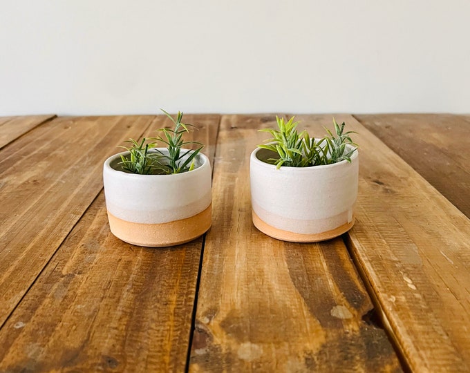 Mini Succulent Pots - 2-pack - Handmade Ceramic